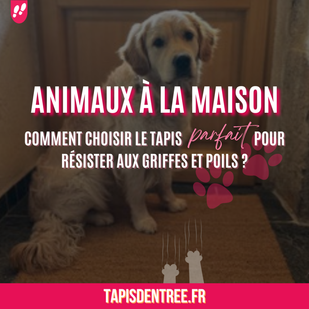 Animaux à la maison - Comment choisir le tapis Parfait pour résister aux griffes et poils