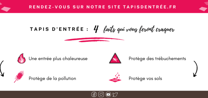 Tapis d'entrée les 4 faits qui vous feront craquer - large
