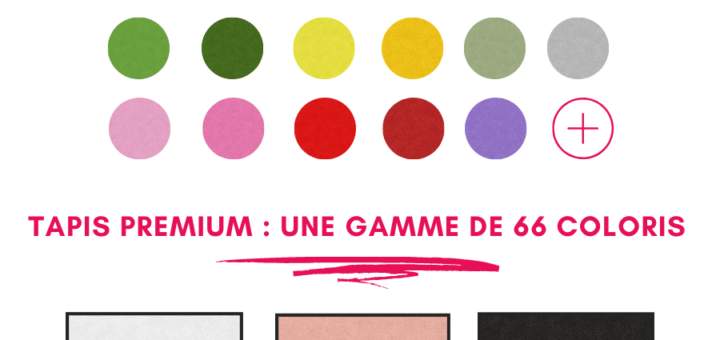 Le tapis d'entrée Premium : une gamme de 66 coloris