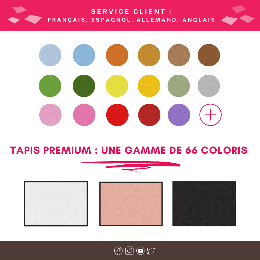 Le tapis d'entrée Premium : une gamme de 66 coloris