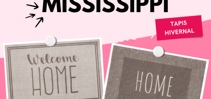 Découvrez notre tapis d'entrée Mississippi