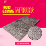 TE - Focus Gamme : Mékong