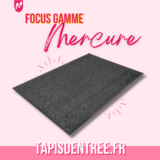 TE - Focus Gamme Mercure