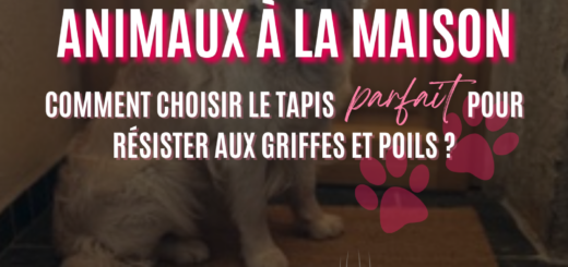 Animaux à la maison - Comment choisir le tapis Parfait pour résister aux griffes et poils